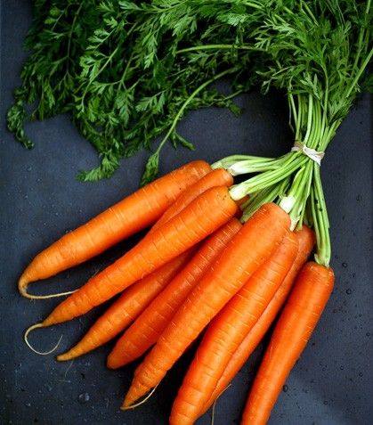 Zanahorias orgánicas